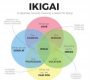 Ikigai +, pekerjaan terbaik